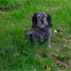 Garden - Farm - Robbie 2005-07-15 (18)