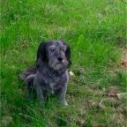 Garden - Farm - Robbie 2005-07-15 (19)