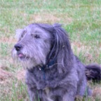 2005-08-05 Sharie's Flowers (20)