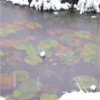 2005-12 Winter at the Farm (5)