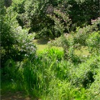DSCN0005_3