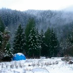 2003-12 White Christmas at Foxglove Farm (4)