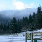 2003-12 White Christmas at Foxglove Farm (6)