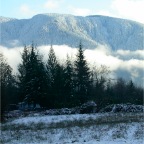 2003-12 White Christmas at Foxglove Farm (11)