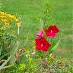 DSCN8962