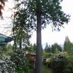 P5010013