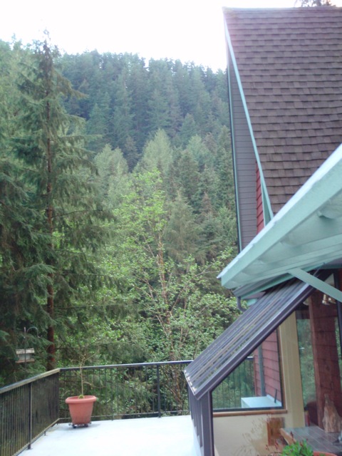 Loading Image